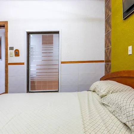 Hotel Vista Alegre-3